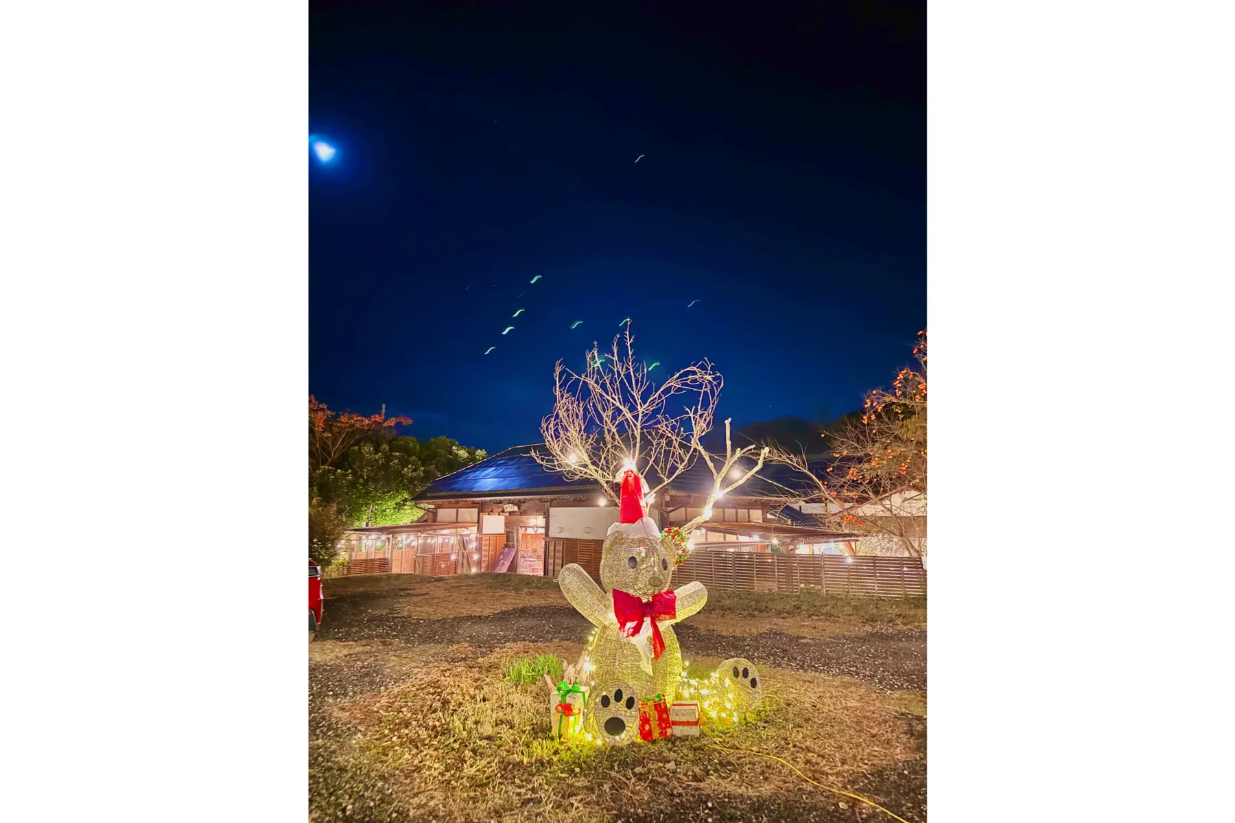 里山クリスマス 2025-2026_1