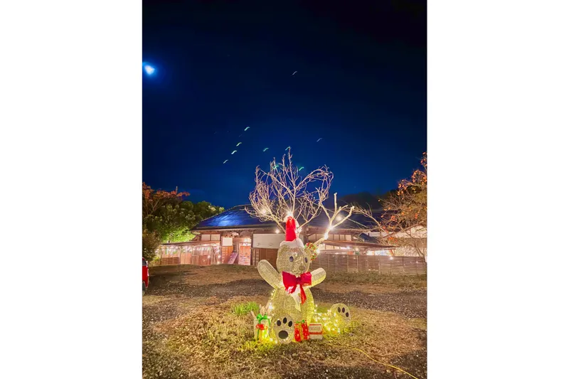 里山クリスマス 2025-2026_1