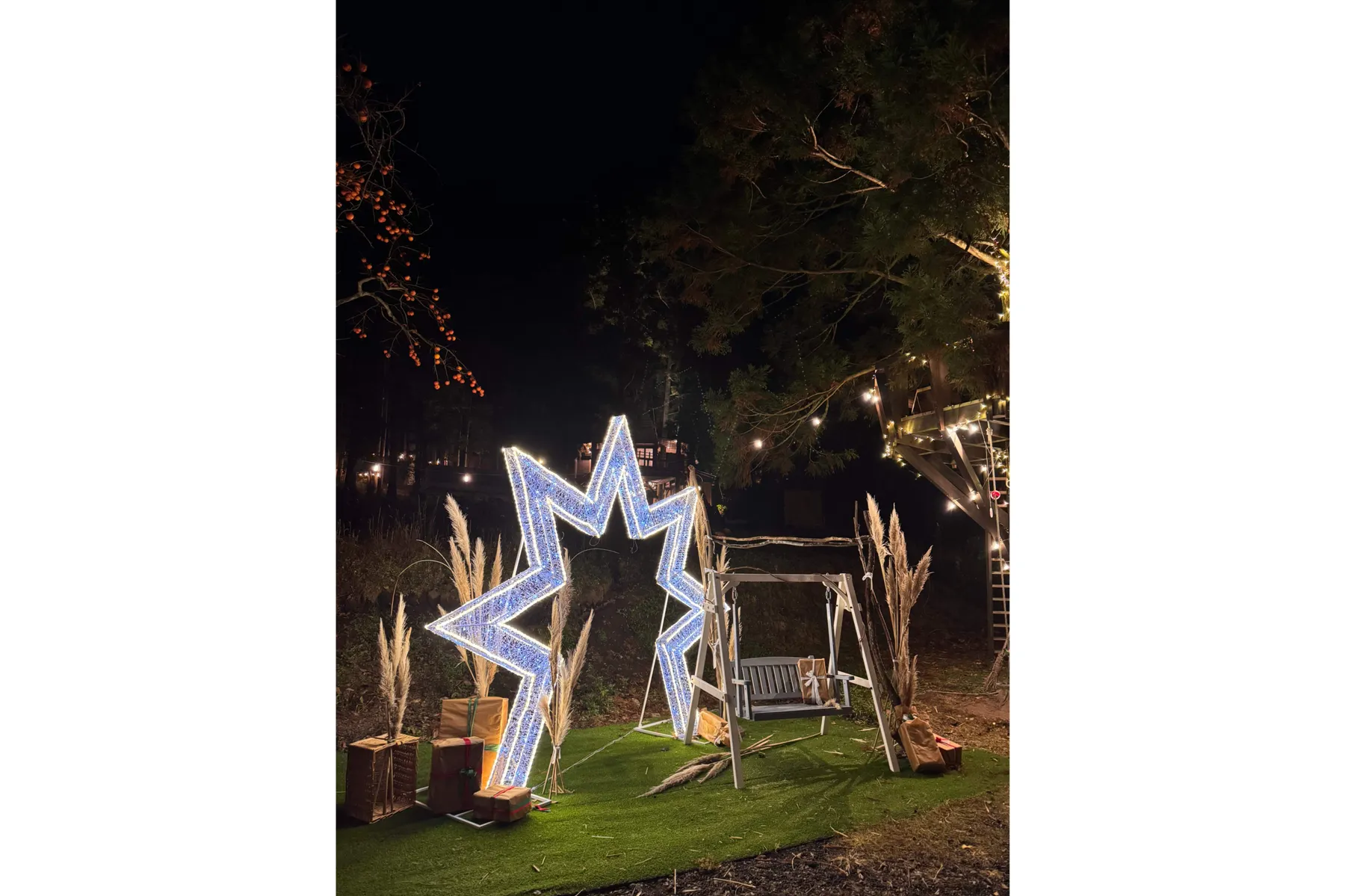 里山クリスマス 2025-2026_4
