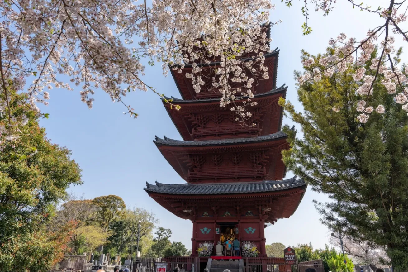 池上本門寺　春まつり_1