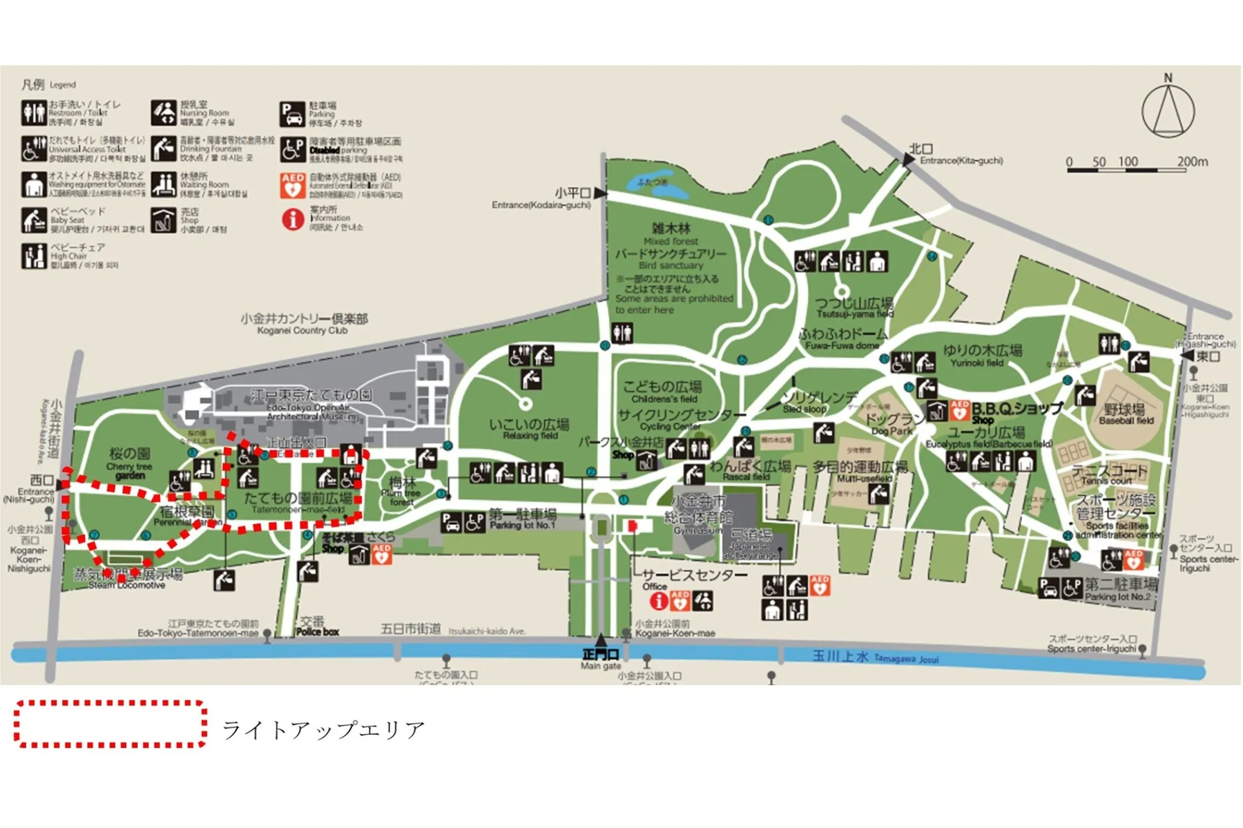 「花と光のムーブメント 小金井公園」～刻を紡ぐ、夏の浪漫～_7