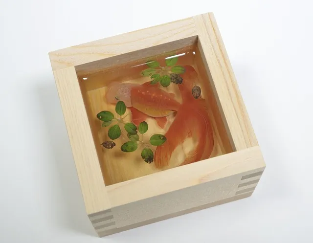 企画展「博物館 明治村×金魚絵師 深堀隆介 金魚浪漫」