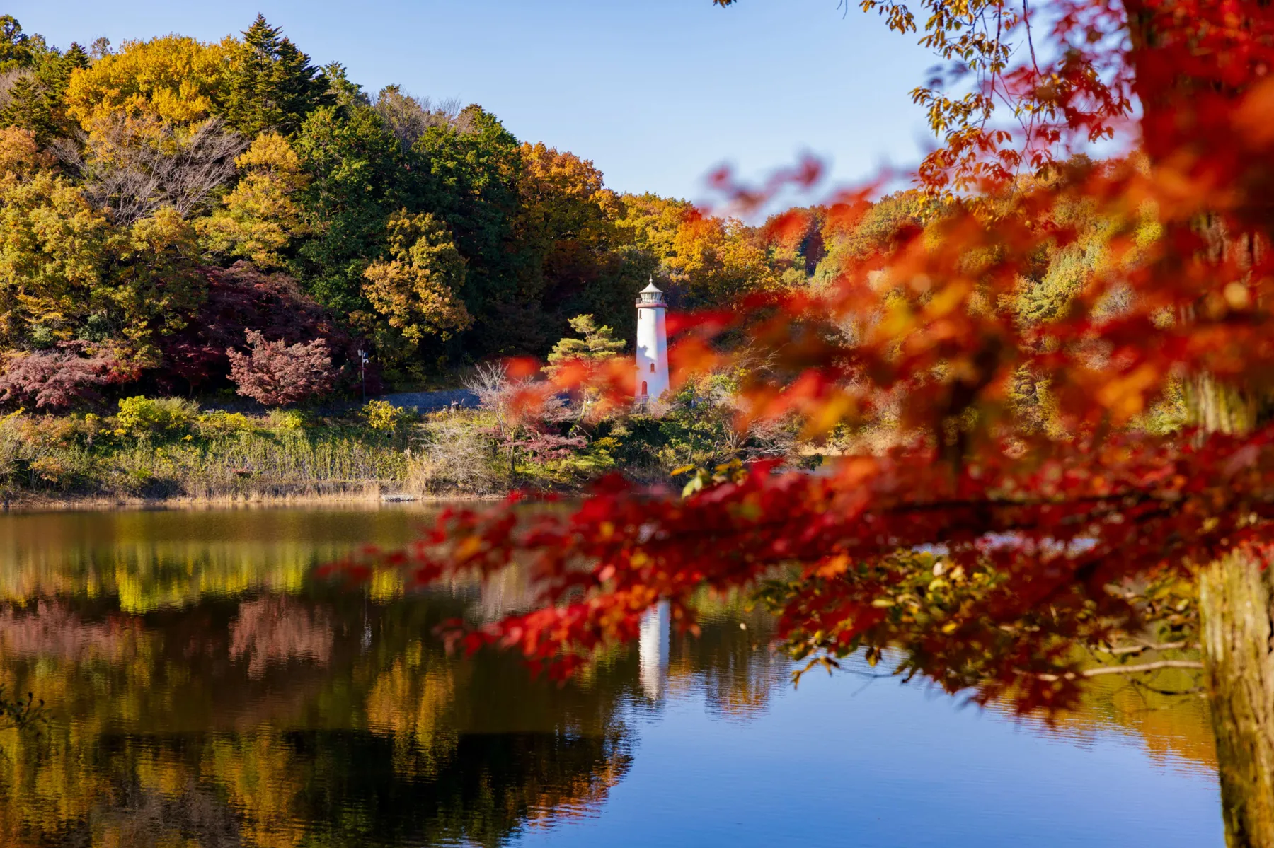 メッツァの紅葉情報_1