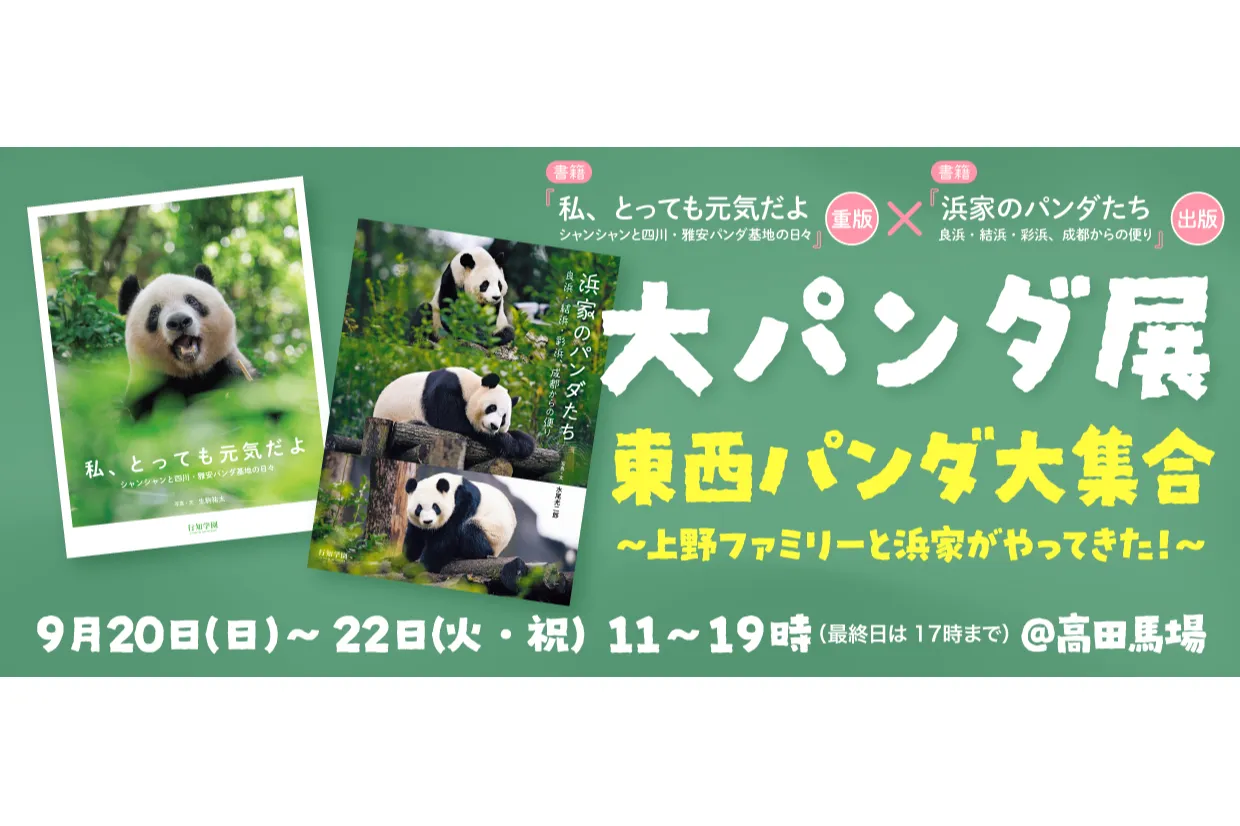 Photobook Release & Reprint Celebration: Grand Panda Exhibition – East and West Pandas Gather! Featuring the Ueno Family and Wakayama Pandas