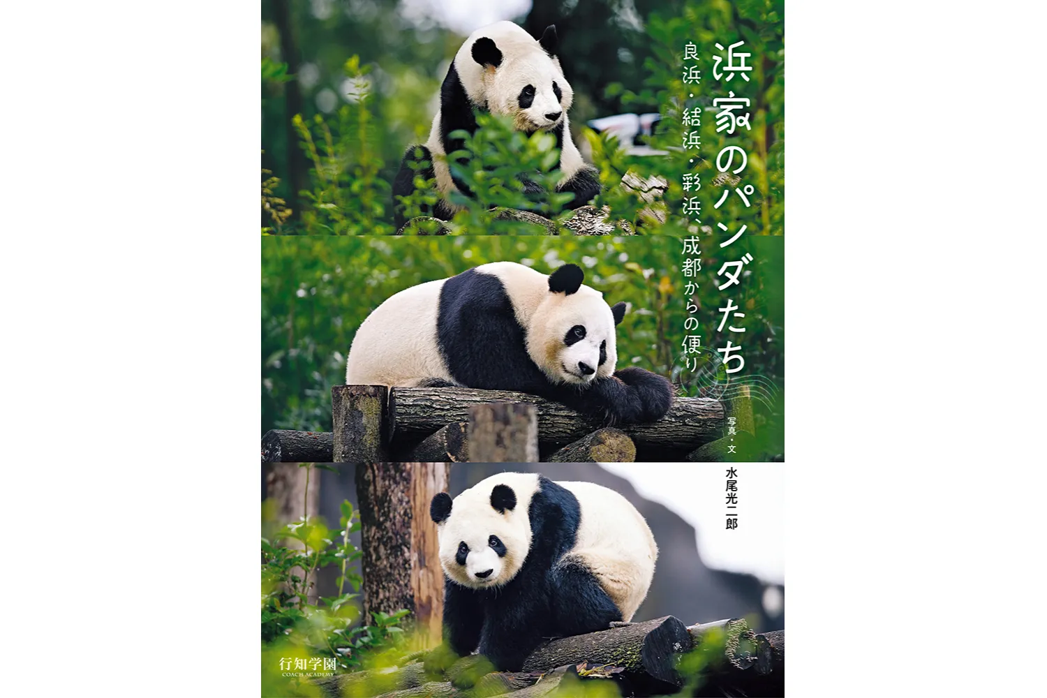 写真集出版&重版記念「大パンダ展　東西パンダ大集合〜上野ファミリーと浜家がやってきた！」_2
