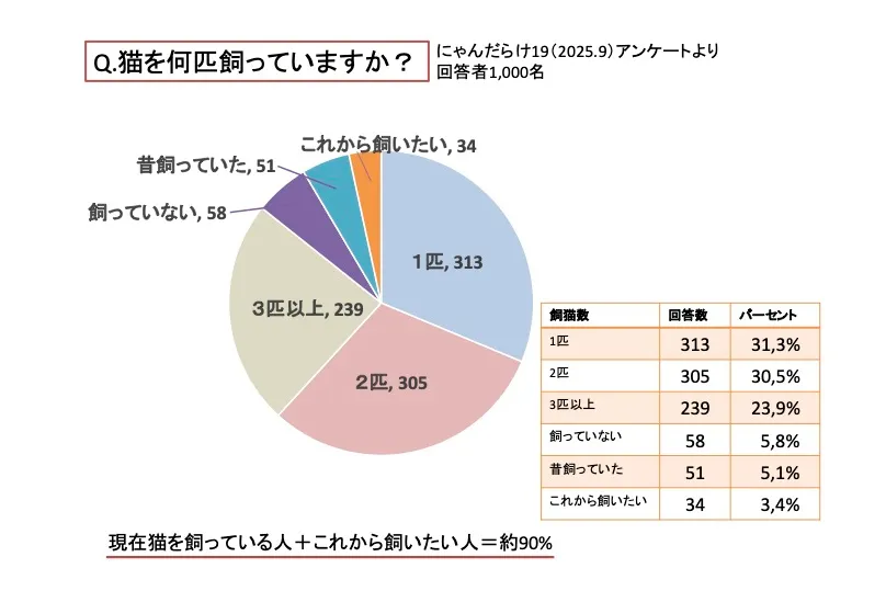 にゃんだらけ20_6