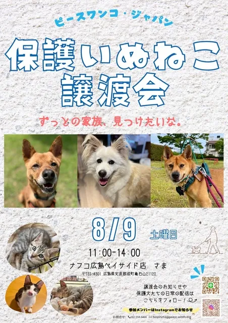 ナフコ保護いぬねこ譲渡会