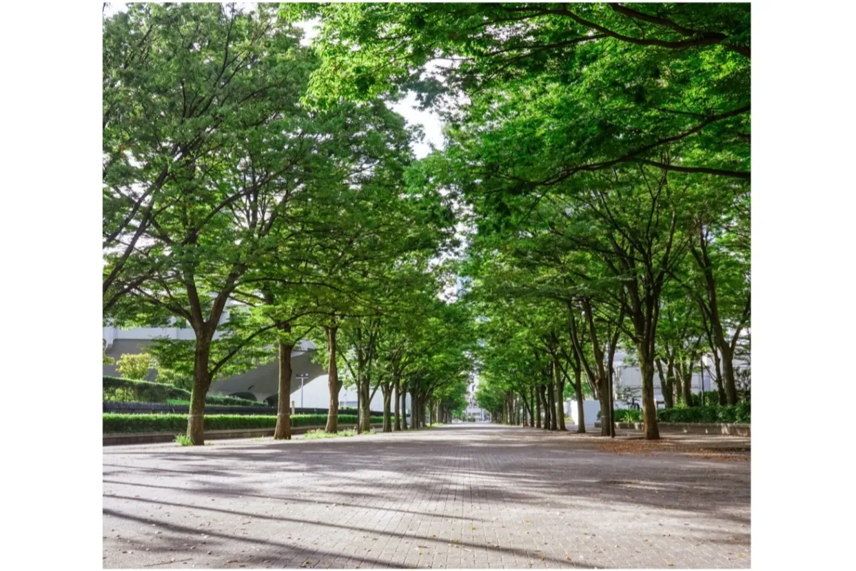 公園通り商店街 台湾感覚（TAIWAN SENSE）_4