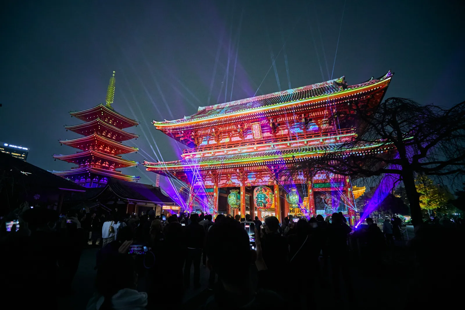 ASAKUSA CULTURE & LIGHTS 2026