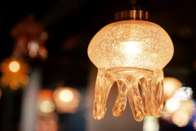 くらげのあかりたち