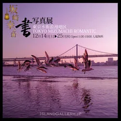 坂崎幸之助書写真展 / 東京水街浪漫地区
