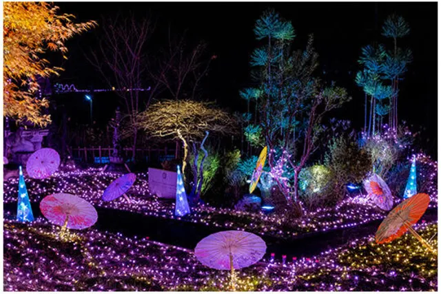 京都丹波KAMEOKA夢ナリエ