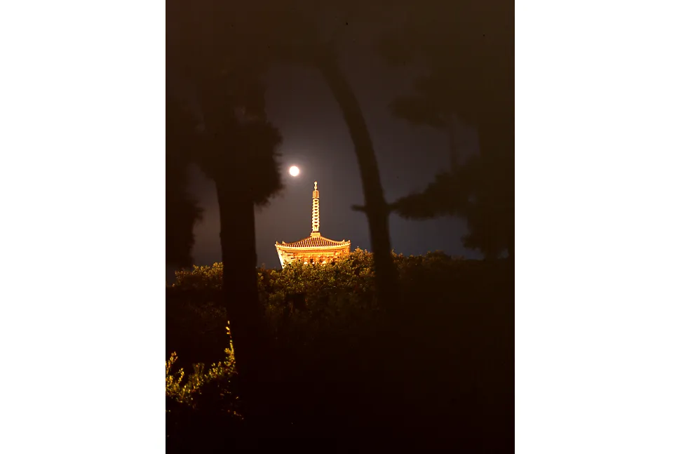 観月会_1