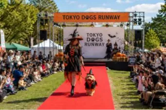 TOKYO outside Festival 2026_3