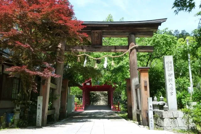【紅葉・見ごろ】御調八幡宮