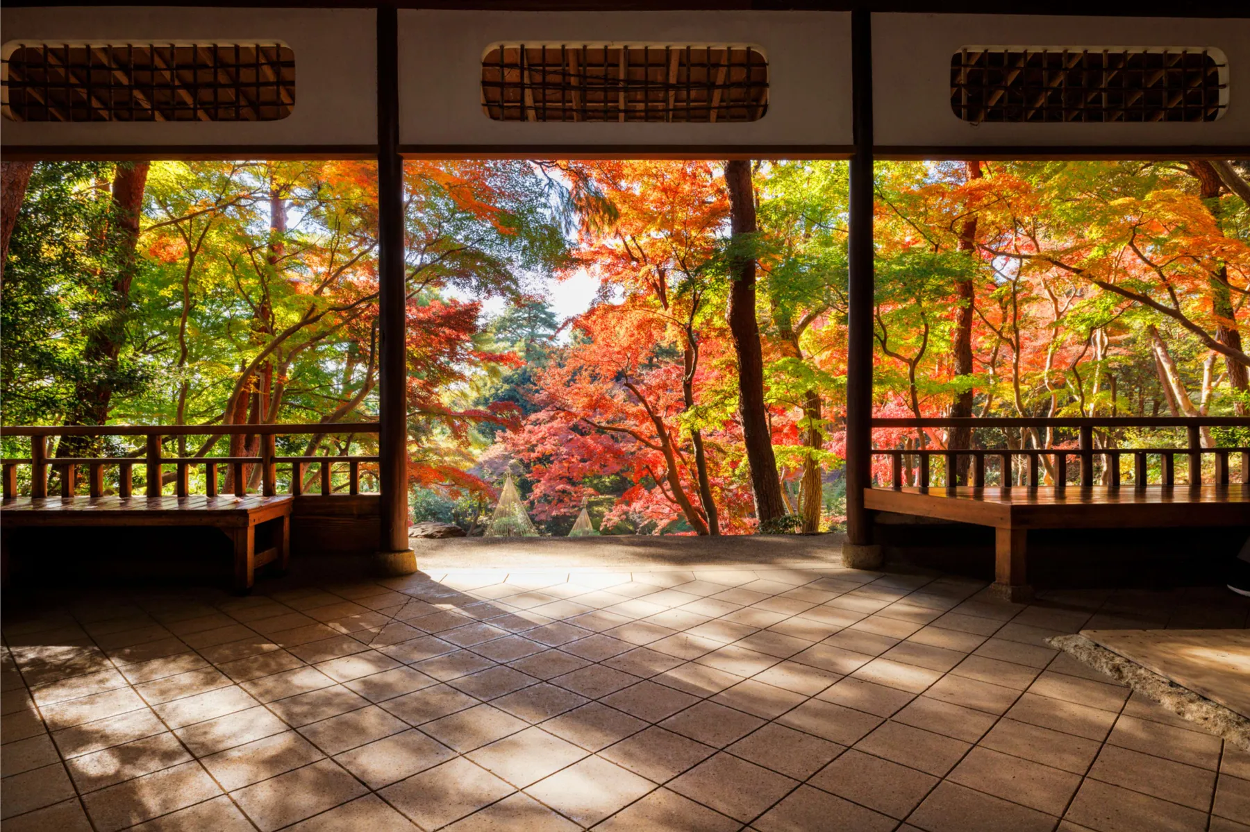 第18回都立庭園「紅葉めぐりスタンプラリー」_15