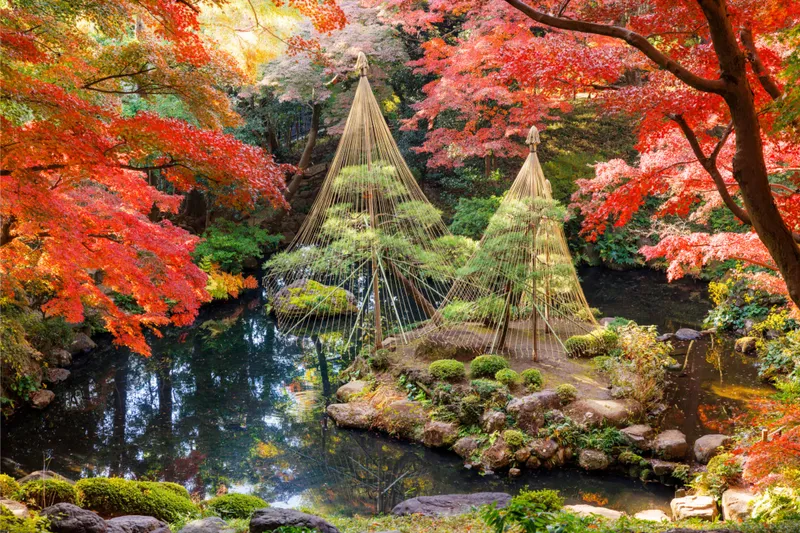 殿ヶ谷戸庭園紅葉