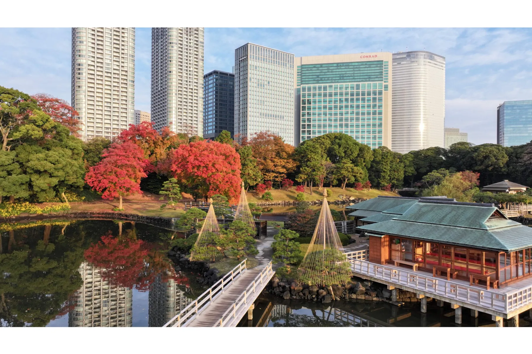 第18回都立庭園「紅葉めぐりスタンプラリー」_7