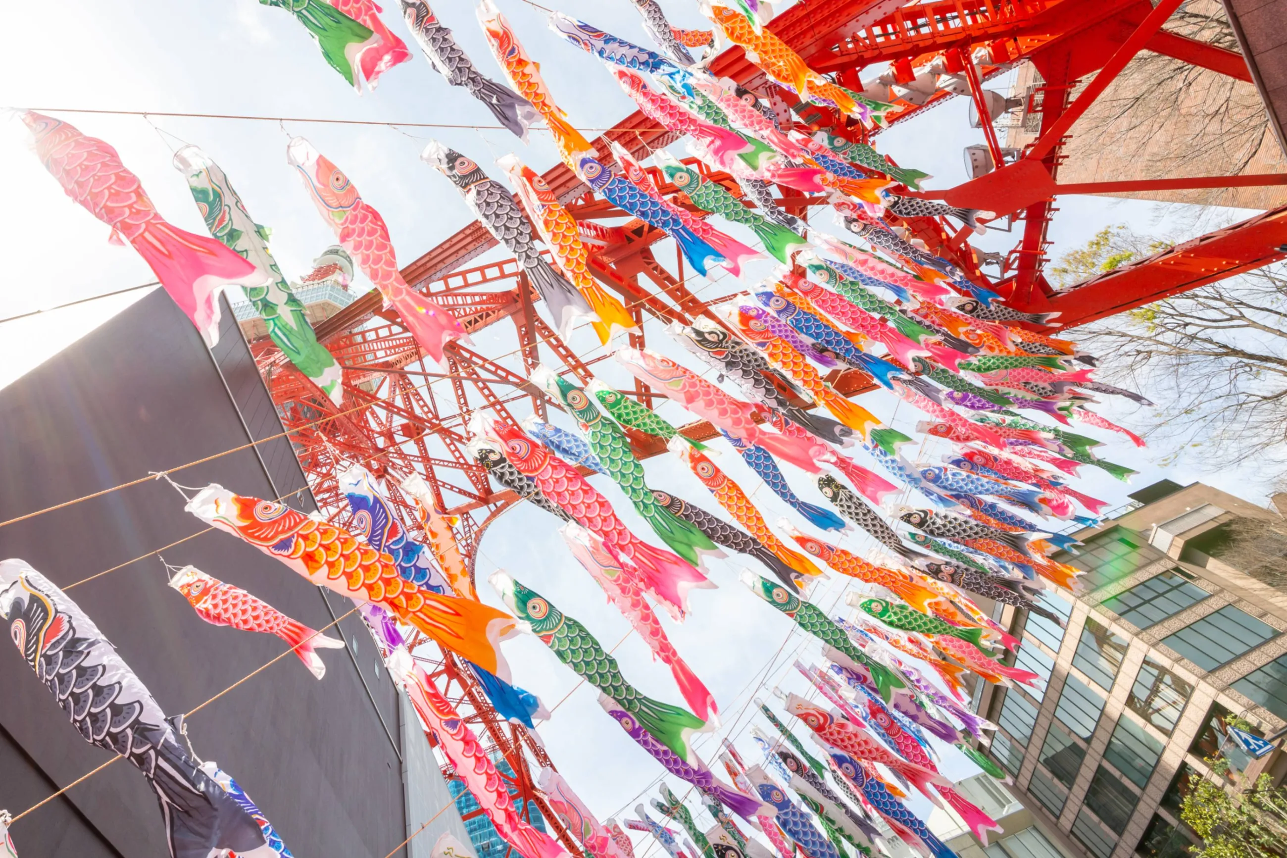東京タワー春の恒例企画！333匹の「鯉のぼり」と「さんまのぼり」