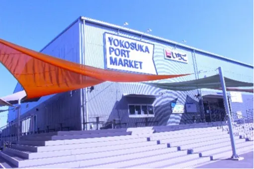 横須賀朝市 Morning Market_2