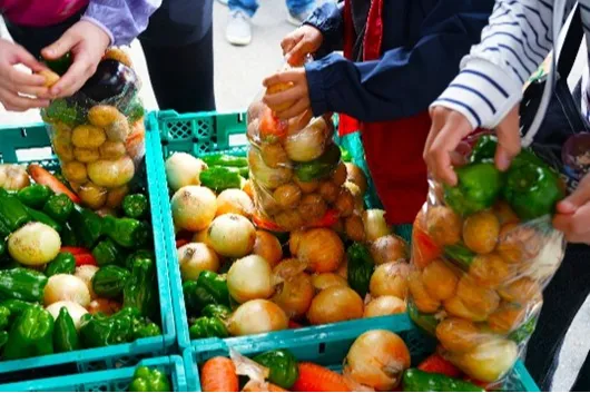 横須賀朝市 Morning Market_5
