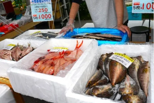 横須賀朝市 Morning Market_7