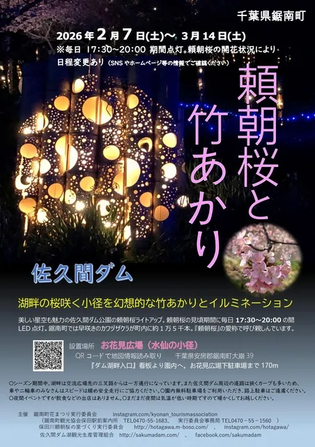 頼朝桜と竹あかり