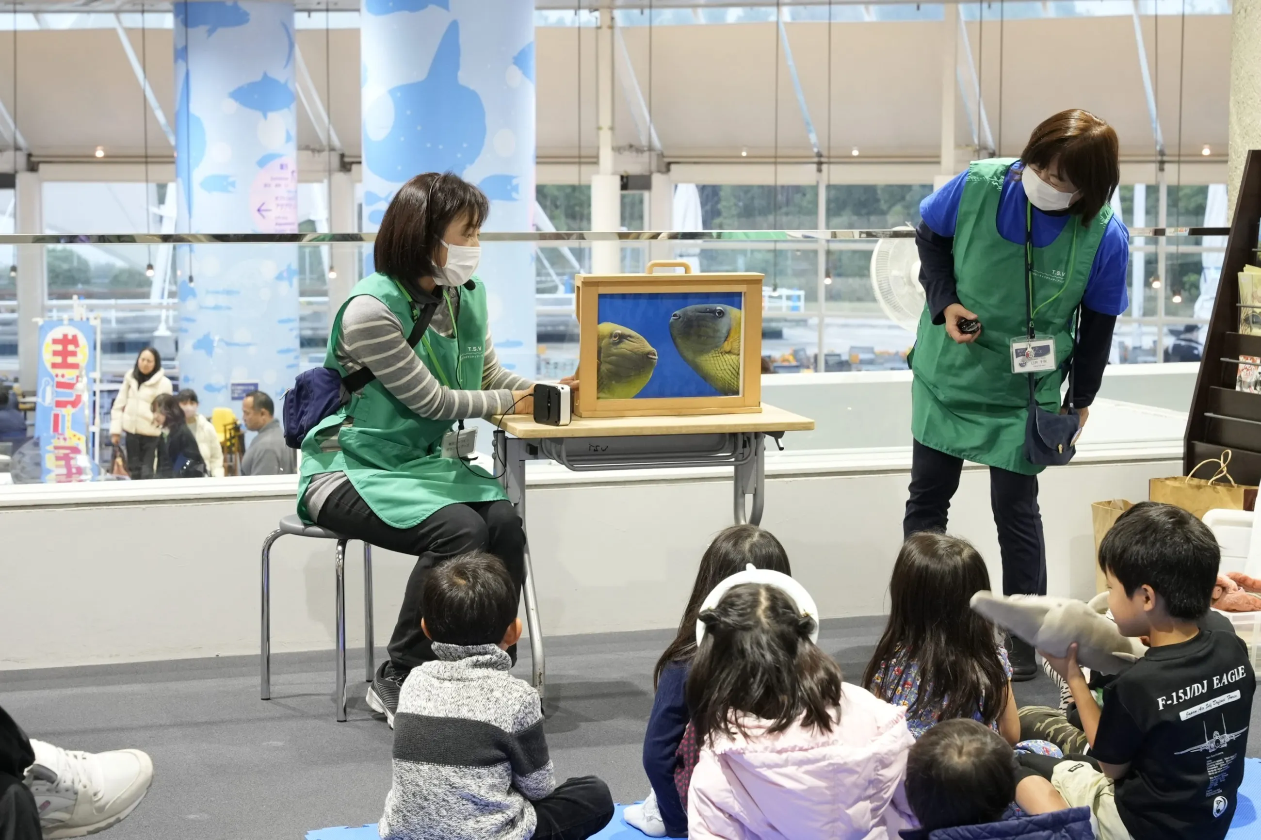 水族園で夕涼み