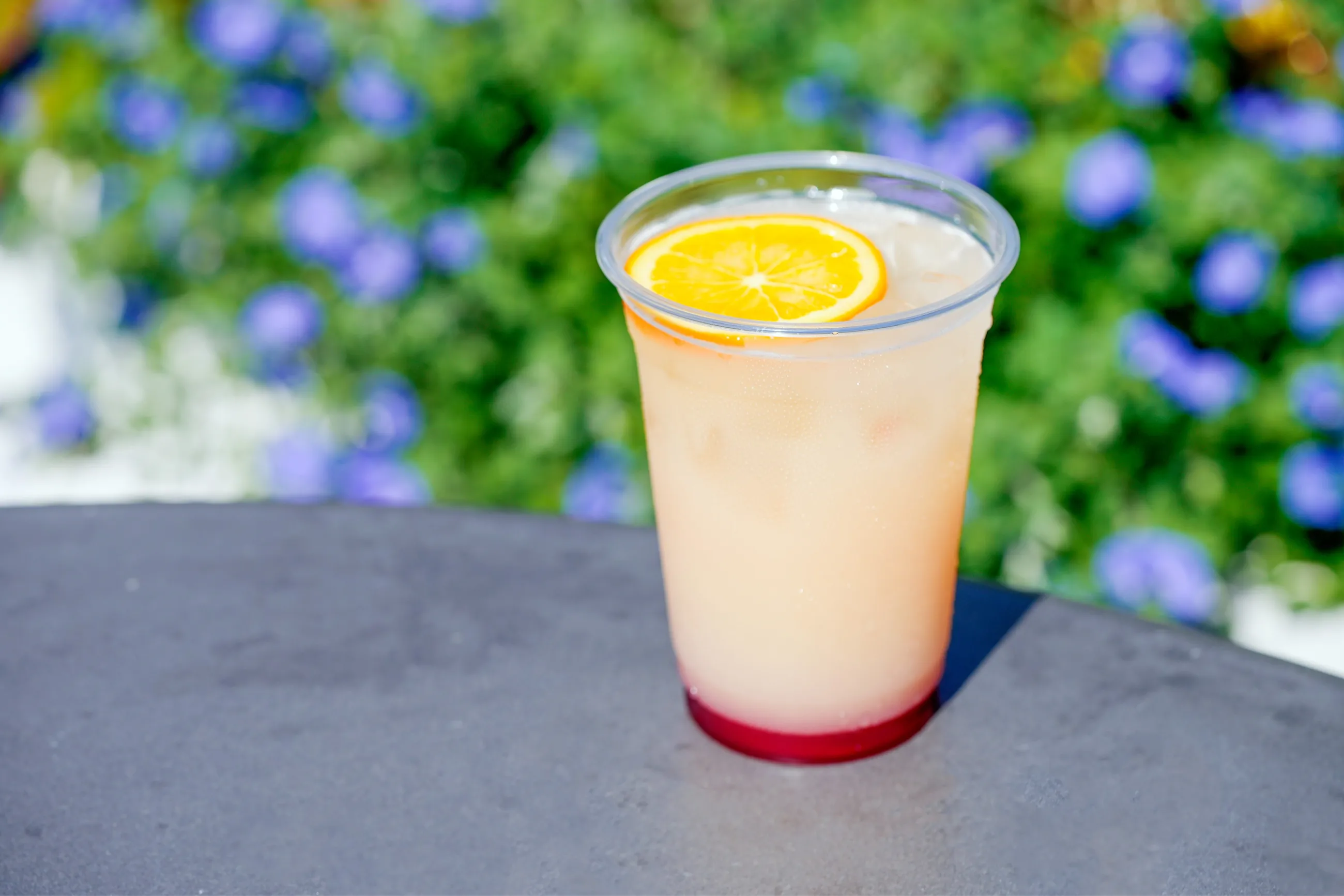 水族園で夕涼み