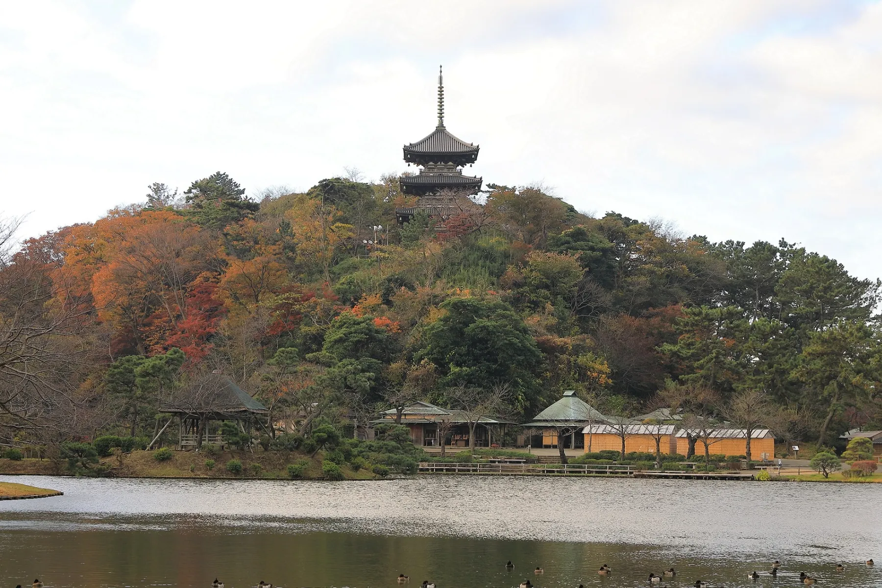 紅葉の遊歩道開放_4