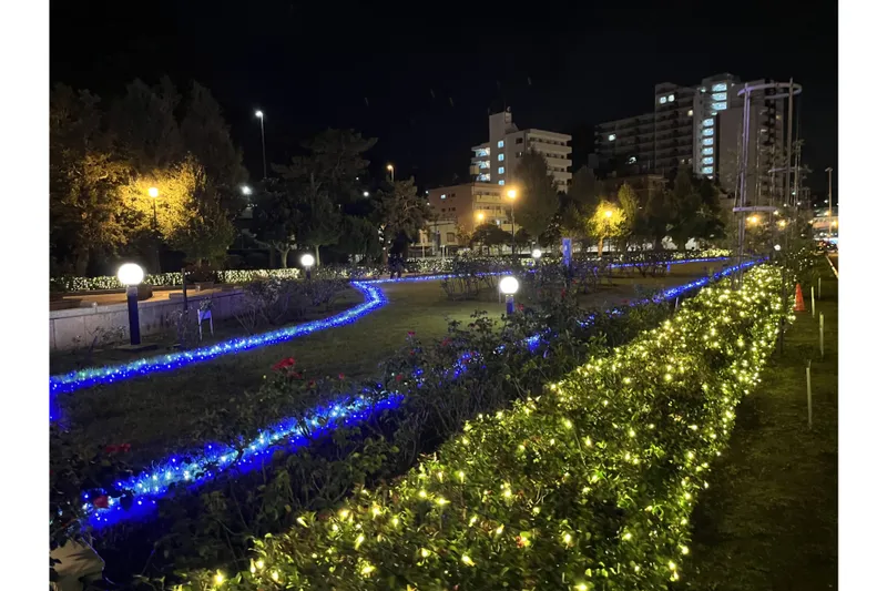 横須賀ウインターイルミネーション_2
