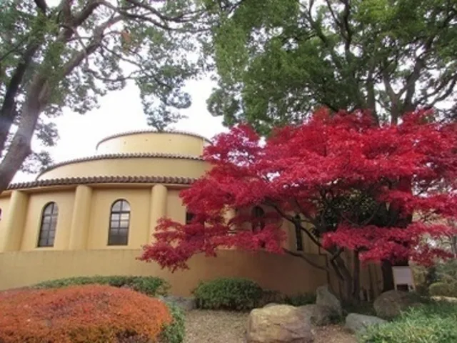 【紅葉・見ごろ】都立桜ヶ丘公園