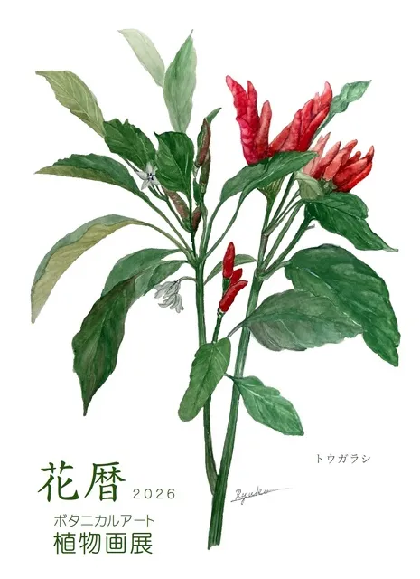 花暦　植物画展2026