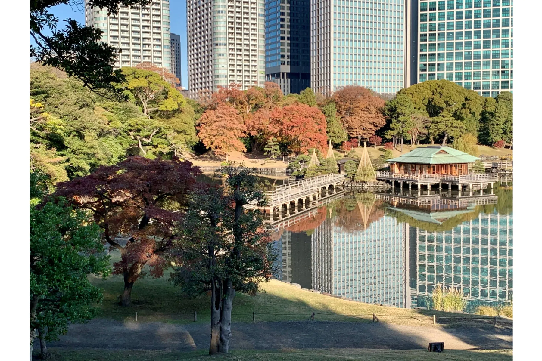 浜離宮恩賜庭園の紅葉情報_1
