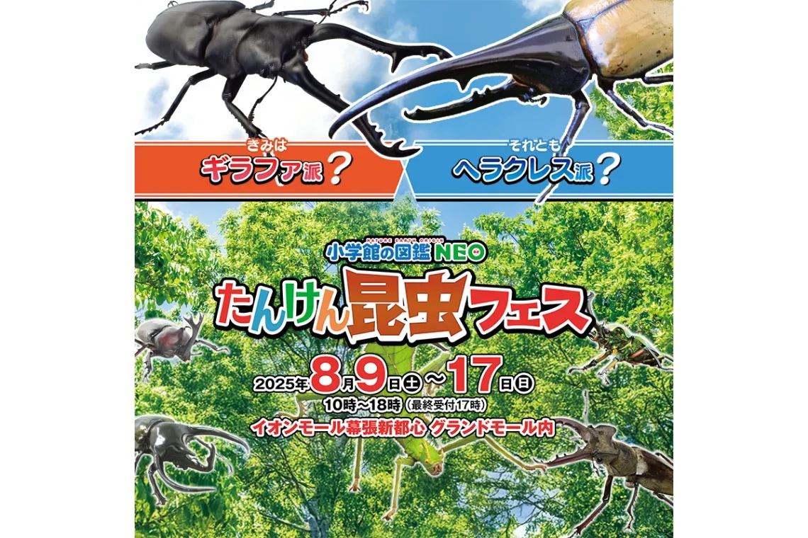 小学館の図鑑NEO たんけん昆虫フェス　～きみはギラファ派、それともヘラクレス派？～_1