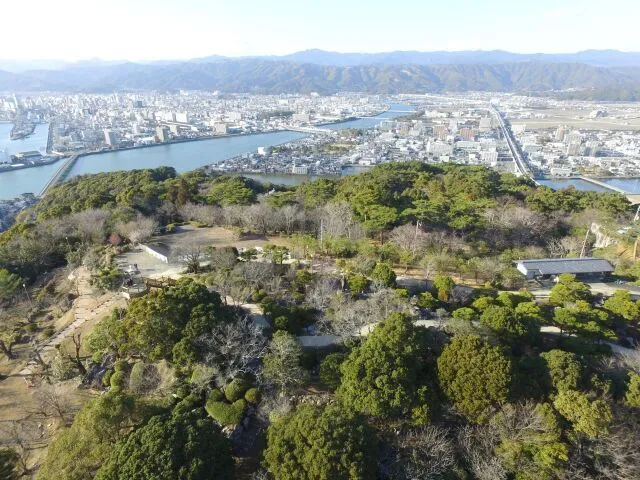 【桜・見ごろ】五台山公園