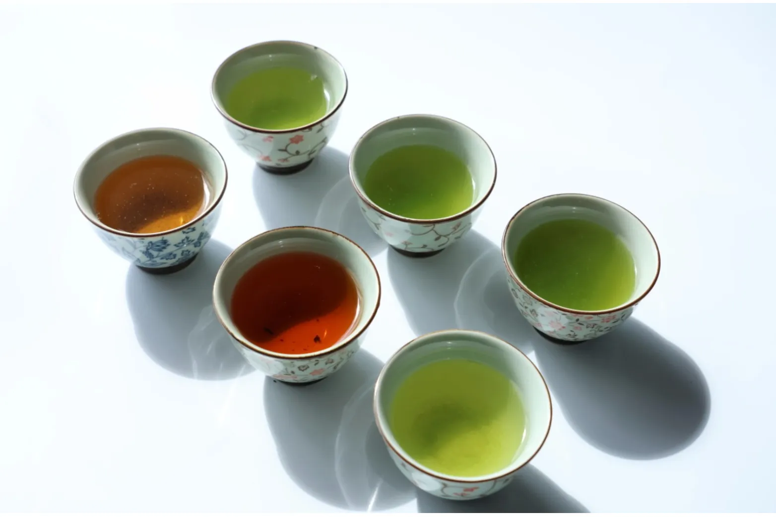 日本茶コレクション2026_4
