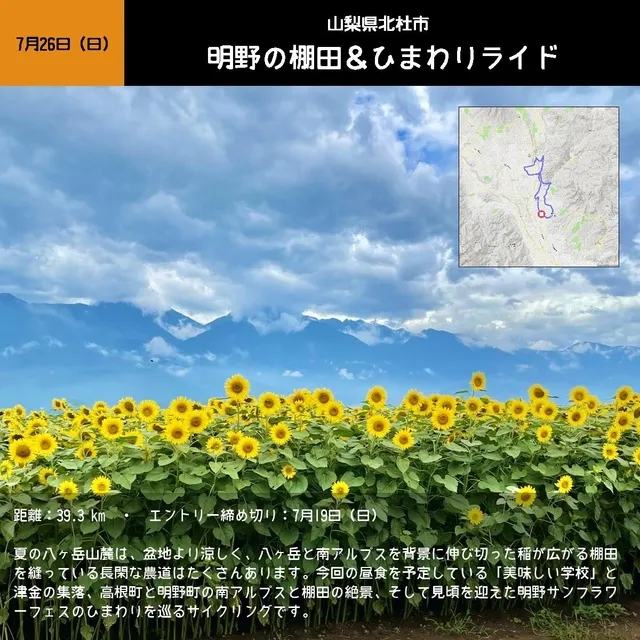 明野の棚田＆ひまわりライド