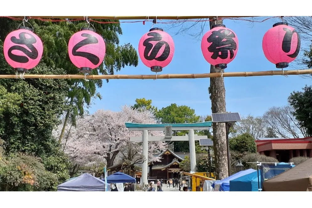 南はだの村 桜まつり_2