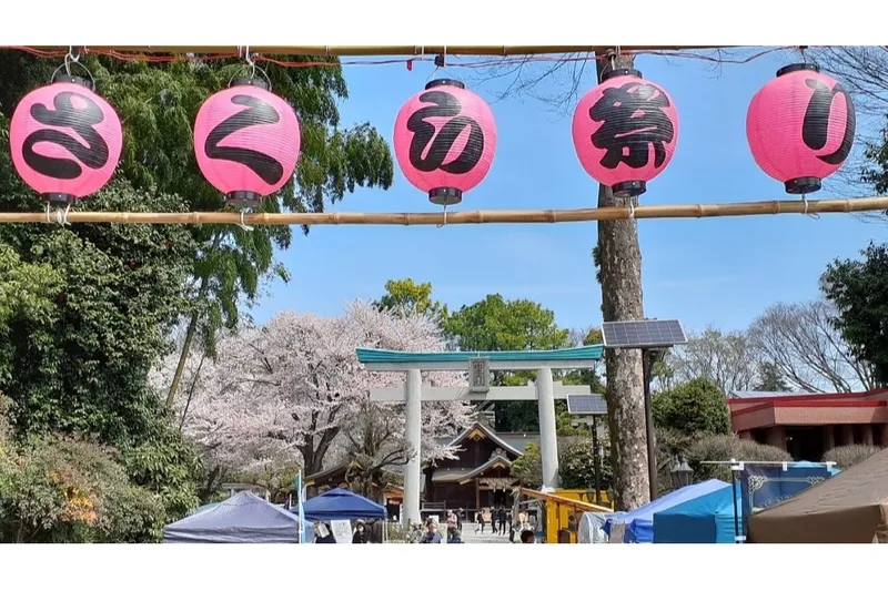 南はだの村 桜まつり_2