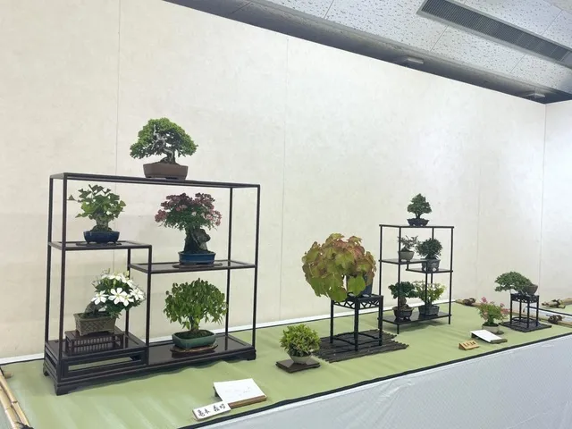 初夏の小品盆栽展