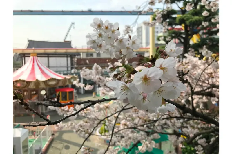 浅草花やしきの春休み2025_2
