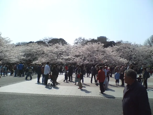 うえの桜まつり2026