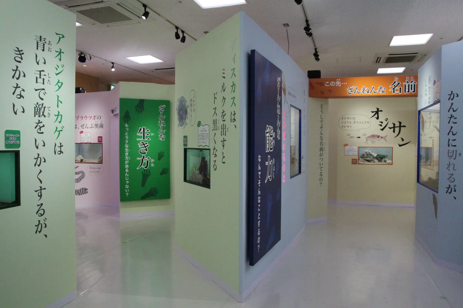 サンシャイン水族館 特別展『サンシャイン水族館×高橋書店「ざんねんないきもの事典」シリーズ　ざんねんないきもの展３_13