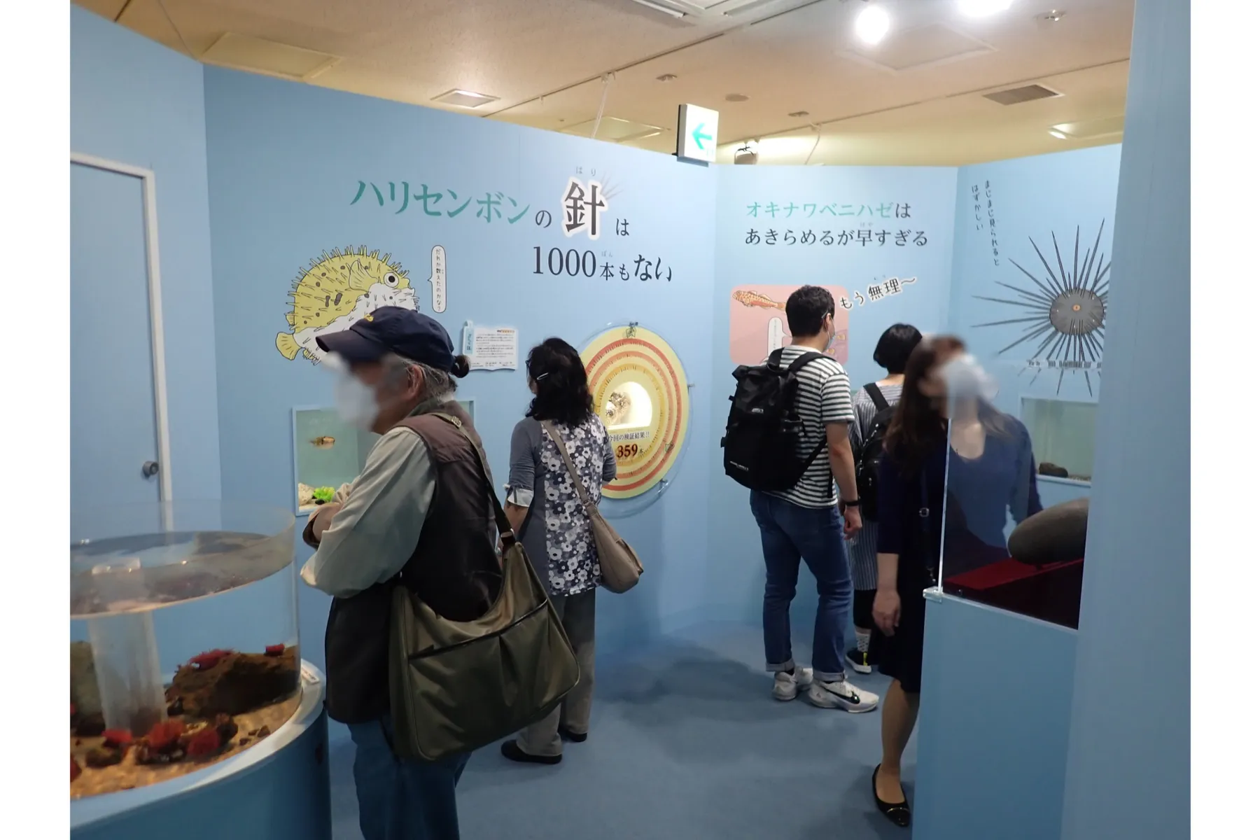 サンシャイン水族館 特別展『サンシャイン水族館×高橋書店「ざんねんないきもの事典」シリーズ　ざんねんないきもの展３_15