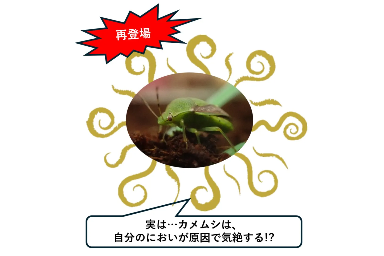 サンシャイン水族館 特別展『サンシャイン水族館×高橋書店「ざんねんないきもの事典」シリーズ　ざんねんないきもの展３_6