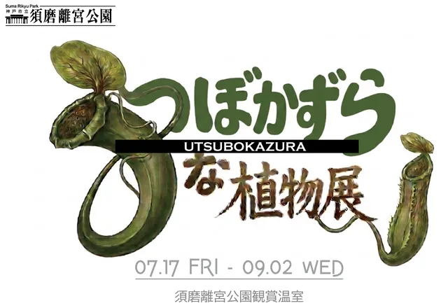 うつぼかずらな植物展
