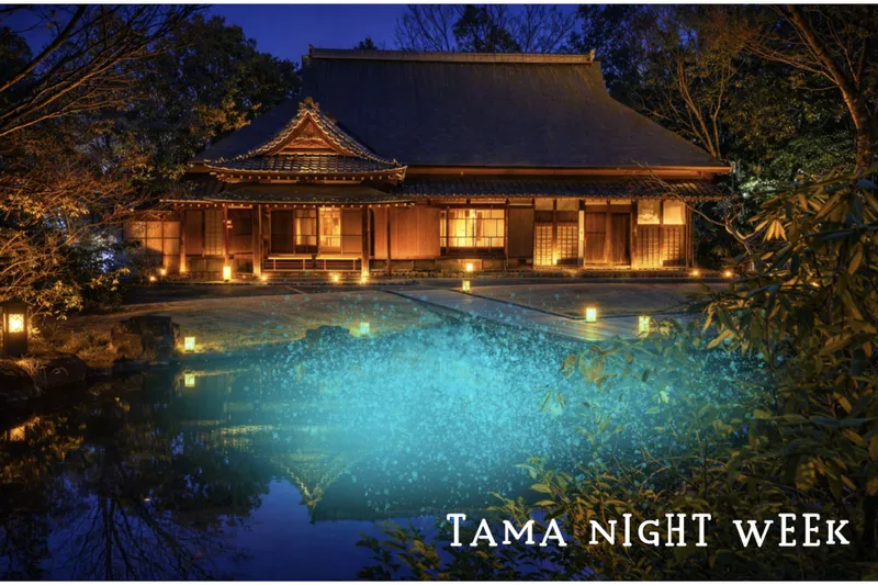 TAMA NIGHT WEEK