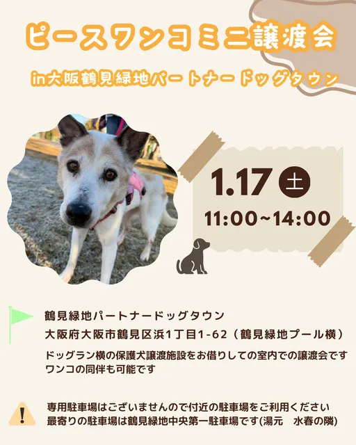 ミニ譲渡会in大阪鶴見緑地パートナードッグタウン