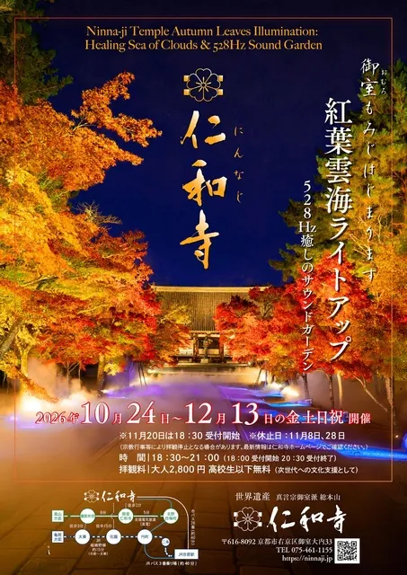 紅葉雲海ライトアップ